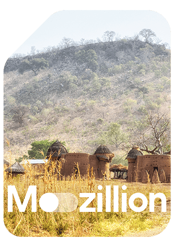 1766143084_Mozillion Travel SIM Cover - Togo.png